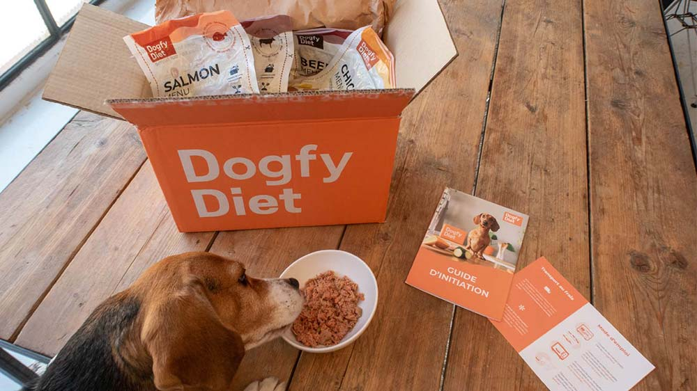 alimento natural para perros dogfydiet