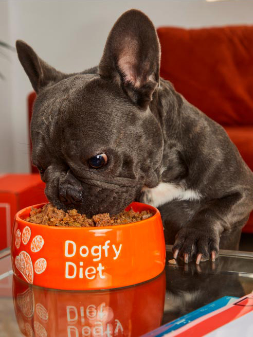 alimento natural para perros dogfydiet